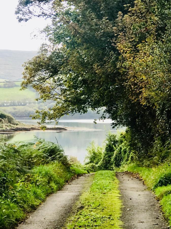 Bed and Breakfast Niblick Bantry Exteriér fotografie