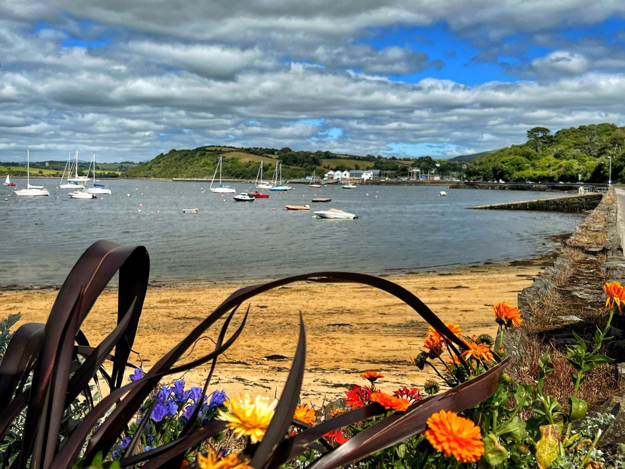 Bed and Breakfast Niblick Bantry Exteriér fotografie